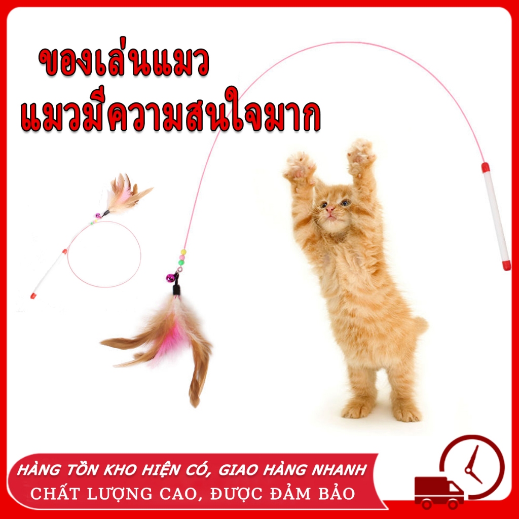 รูปสินค้า ของเล่นเเมว ของเล่นแมว ไม้ตกแมว แบบสปริง ล่อแมว ลวดสลิง ไม้แมว ยาวสุด ไม่ล่อแมว ของเล่น
