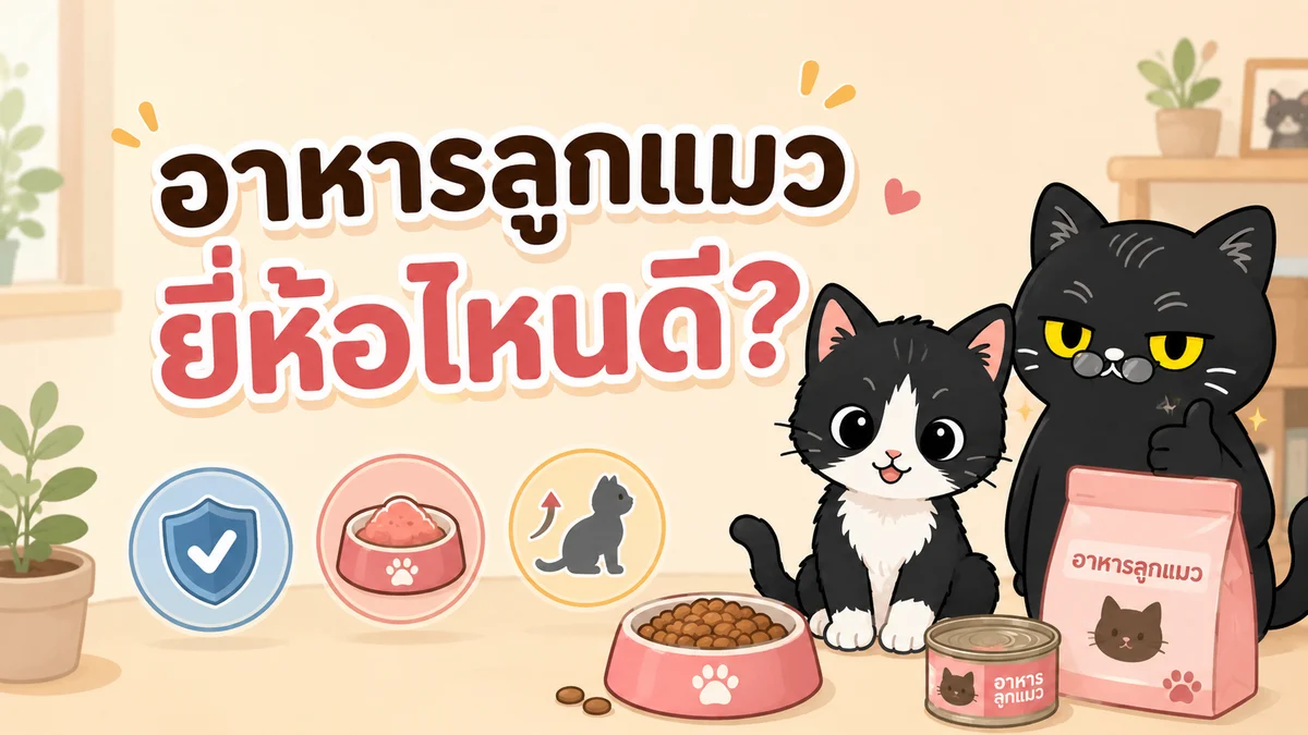 ภาพประกอบบทความ อาหารลูกแมวยี่ห้อไหนดี? เลือกจากอะไร ไม่ใช่ดูแค่ยี่ห้อ