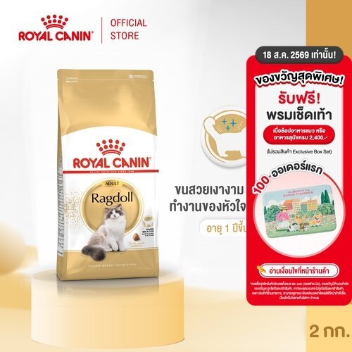 รูปสินค้า Royal Canin Ragdoll Adult อาหารเม็ดแมวโต 2 กก.