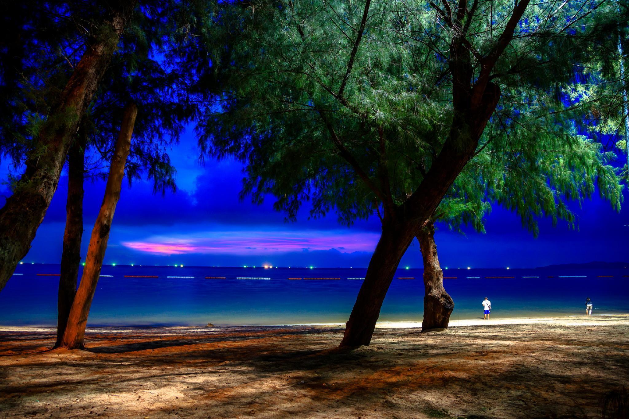 Rabbit Resort — ภาพที่ 3