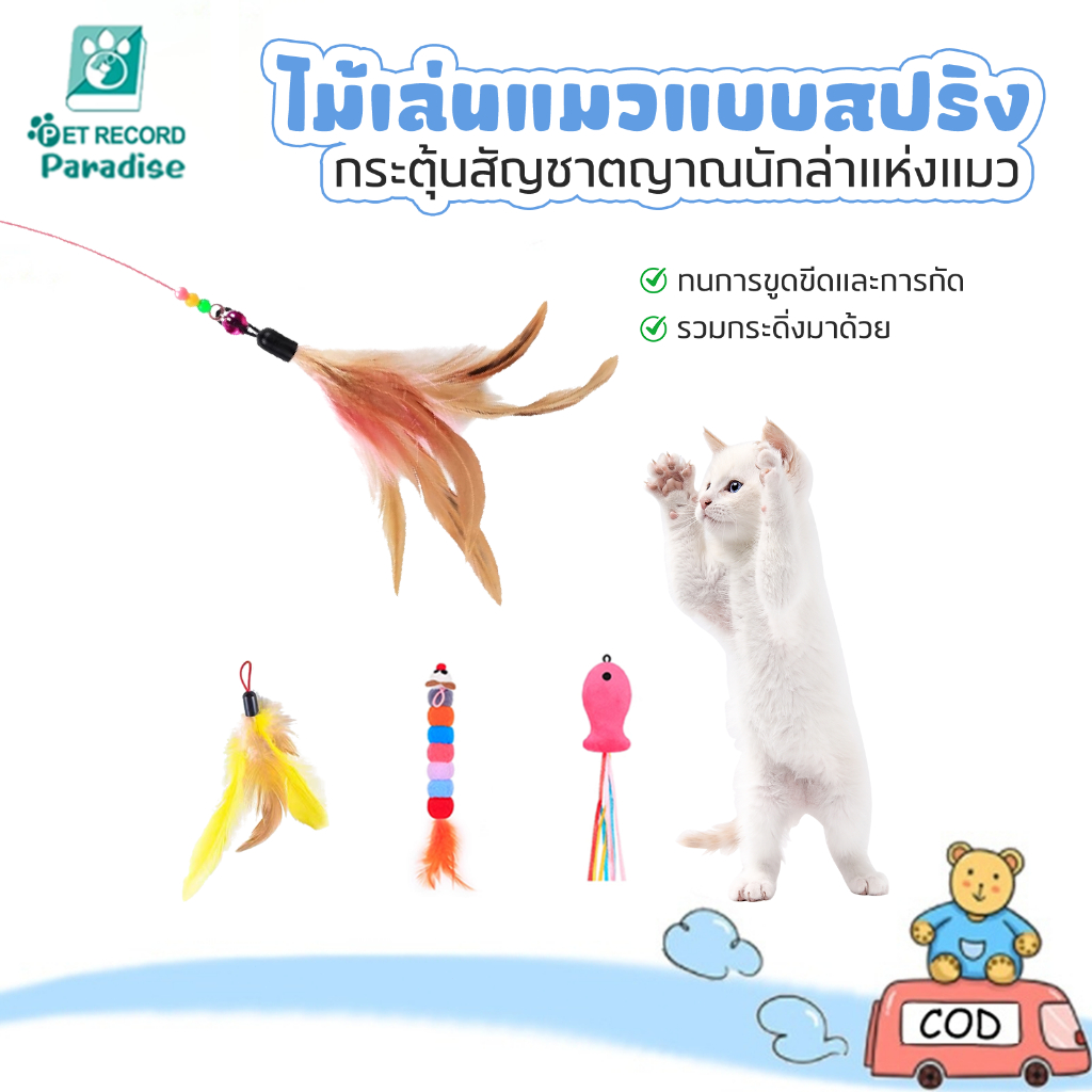 รูปสินค้า Pet Record เพ็ท เลคคอร์ด ไม้แมว ยาวสุด ไม่ล่อแมว ไม้ตกแมว ของเล่นแมว ของเล่น สำหรับแมว