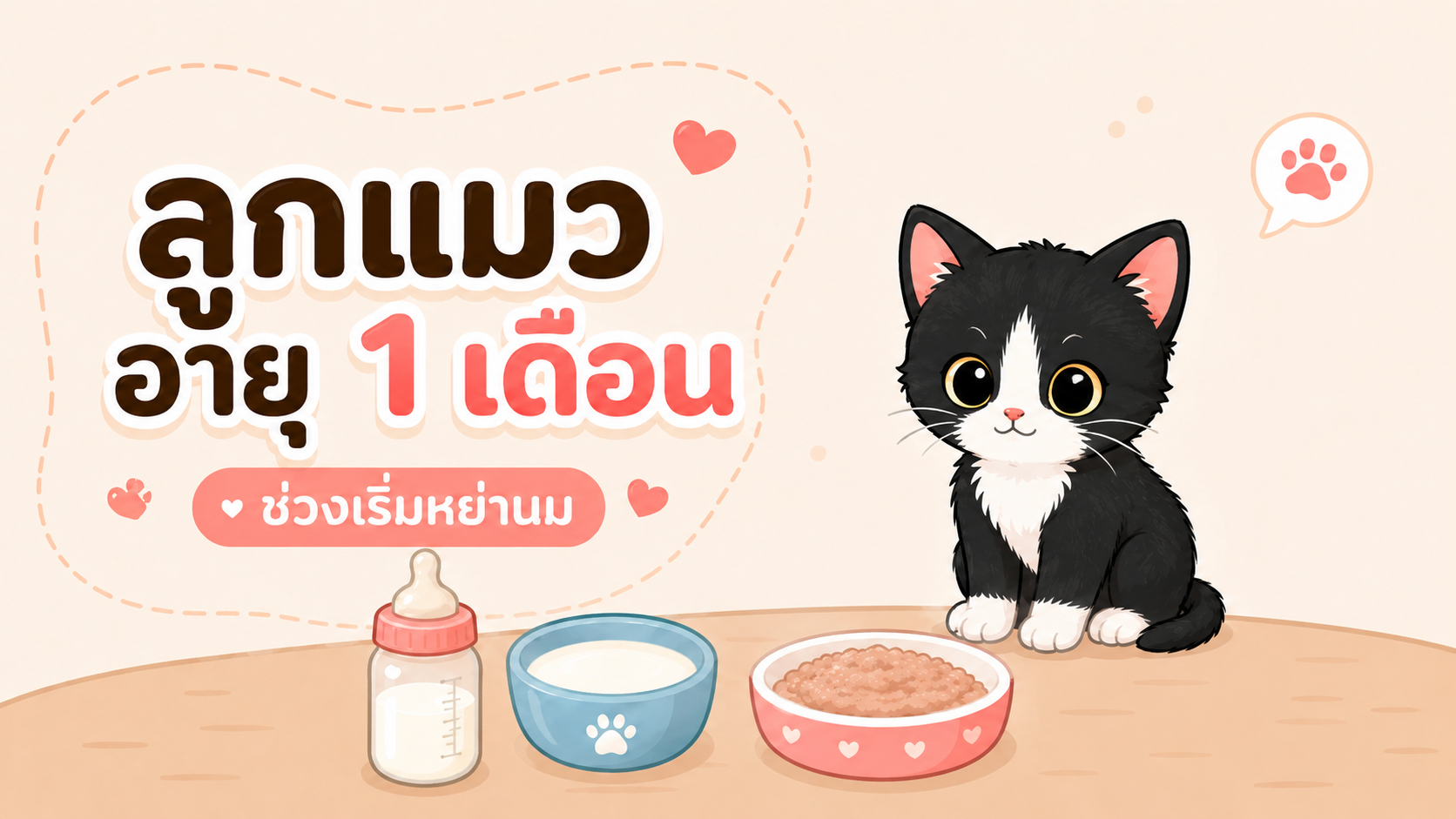 ภาพประกอบบทความ ลูกแมวอายุ 1 เดือนกินอะไร? ช่วงเริ่มหย่านมควรให้อะไรดี