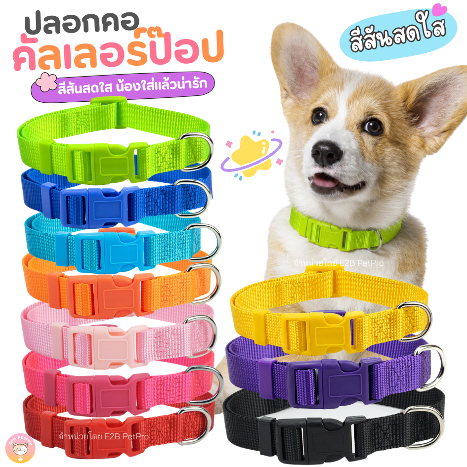 รูปสินค้า ปลอกคอสุนัขคัลเลอร์ป๊อป สีโดดเด่น มองเห็นง่าย C084