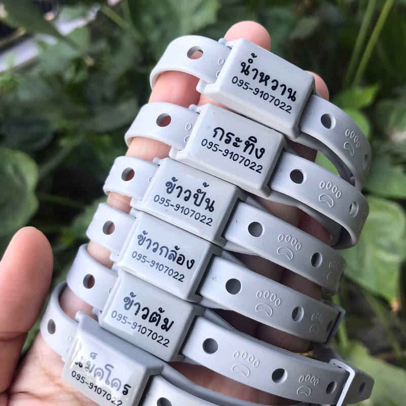 รูปสินค้า ป้ายชื่อสัตว์เลี้ยง ปลอกคอกันเห็บ หมัด ยุง สำหรับสัตว์เลี้ยง หมา แมว