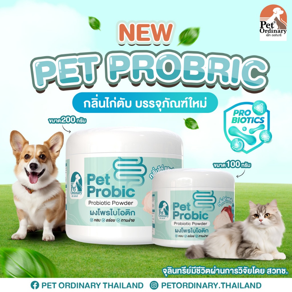 รูปสินค้า Pet Ordinary Pet Probic แพคเกจใหม่ ผงโพรไบโอติกสุนัข ผงโพรไบโอติกแมว