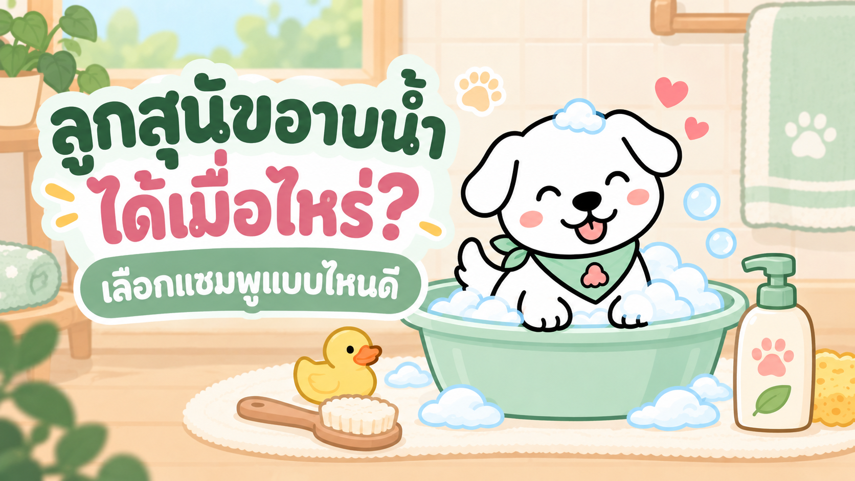 ภาพประกอบบทความ ลูกสุนัขอาบน้ำได้เมื่อไหร่? อาบยังไงและเลือกแชมพูแบบไหนดี