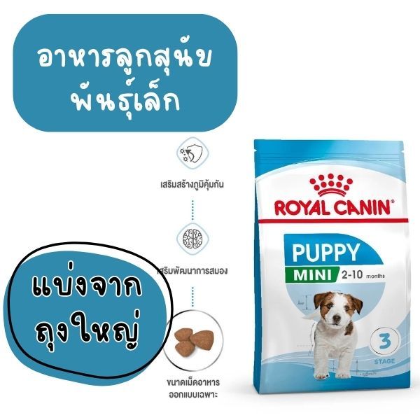 รูปสินค้า Royal Canin Mini Puppy อาหารเม็ดลูกสุนัขพันธุ์เล็ก