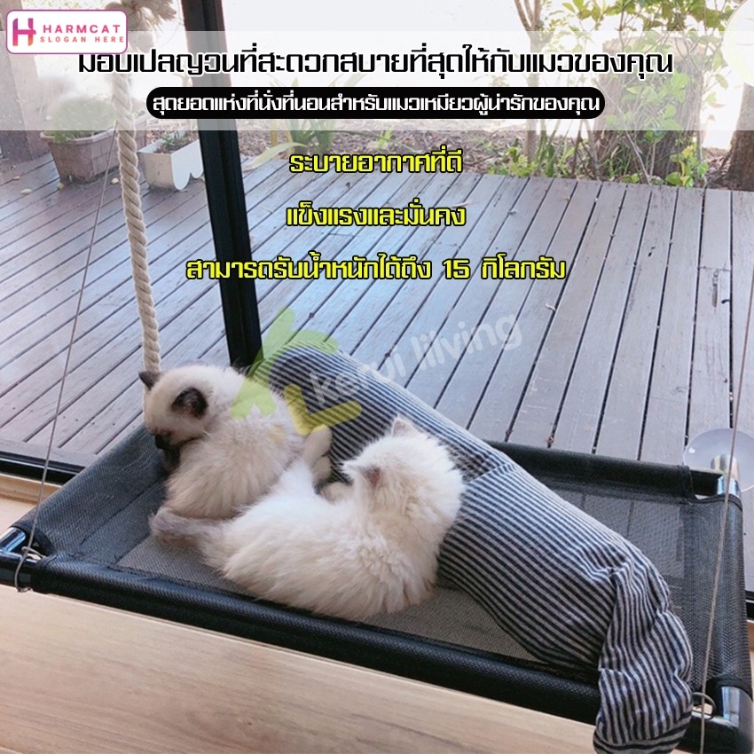 รูปสินค้า Harmcat อุปกรณ์แมว เบาะแมว ของเล่นแมว เปลญวนแมว สำหรับติดกระจกหน้าต่าง เปลสำหรับแมว