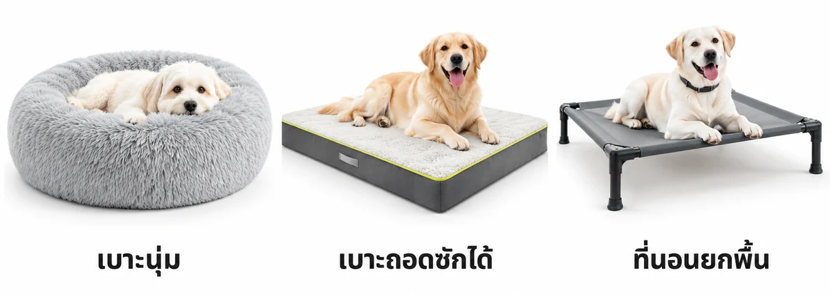เปรียบเทียบที่นอนสุนัข