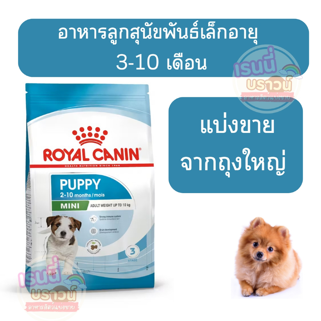 รูปสินค้า Royal Canin Mini Puppy อาหารเม็ดลูกสุนัขพันธุ์เล็ก