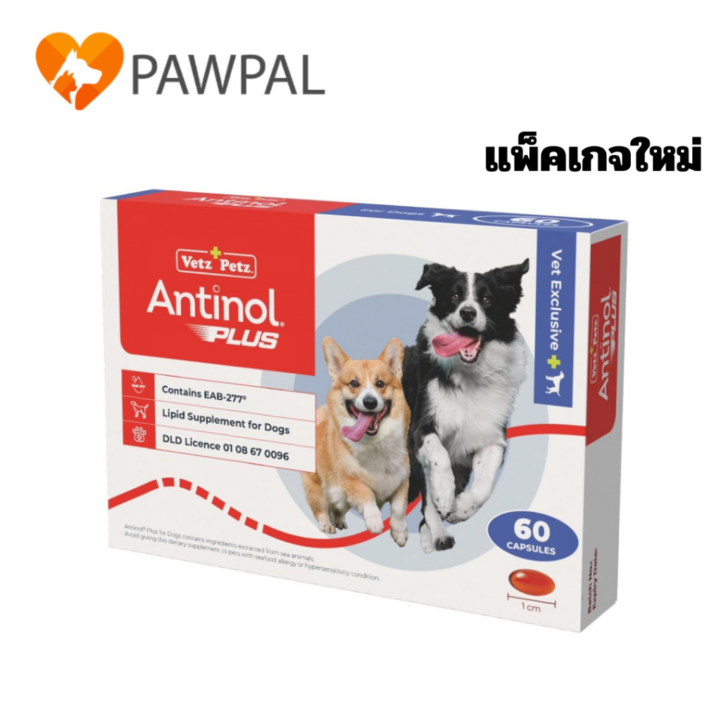 รูปสินค้า Antinol Dog อาหารเสริม สูตรดูแลข้อและกระดูก สูตรดูแลข้อ สุนัข แมว