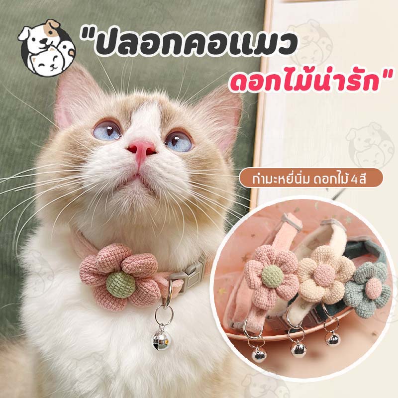 รูปสินค้า Catto ปลอกคอสำหรับสุนัขและแมว แบบปรับขนาดได้ FB