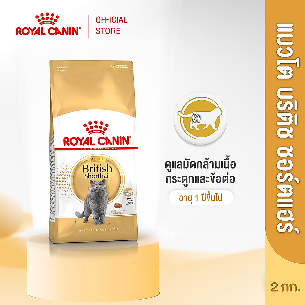 รูปสินค้า Royal Canin British Shorthair Adult2kg อาหารเม็ดแมวโต