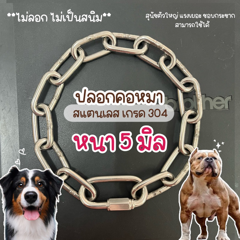 รูปสินค้า หนา 5 มม. สแตนเลส ปลอกคอสุนัข รุ่นใหญ่ ชอบกระชาก สแตนเลสเกรด 304