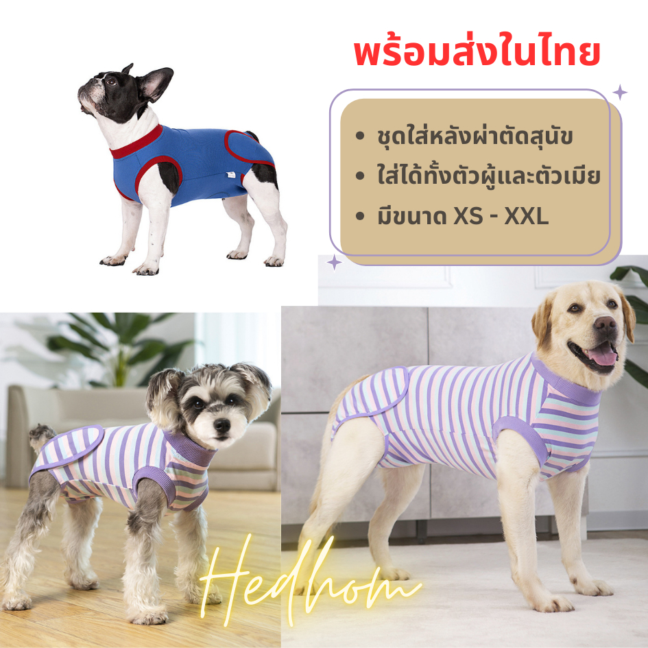 รูปสินค้า ‼ ชุดใส่หลังผ่าตัดสำหรับสุนัขเล็กถึงใหญ่ ชุดกันเลีย ปิดรอบ ระบายอากาศได้ดี