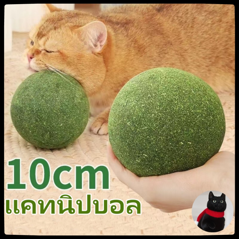 รูปสินค้า บอลแคทนิปสำหรับแมว 10 ซม.