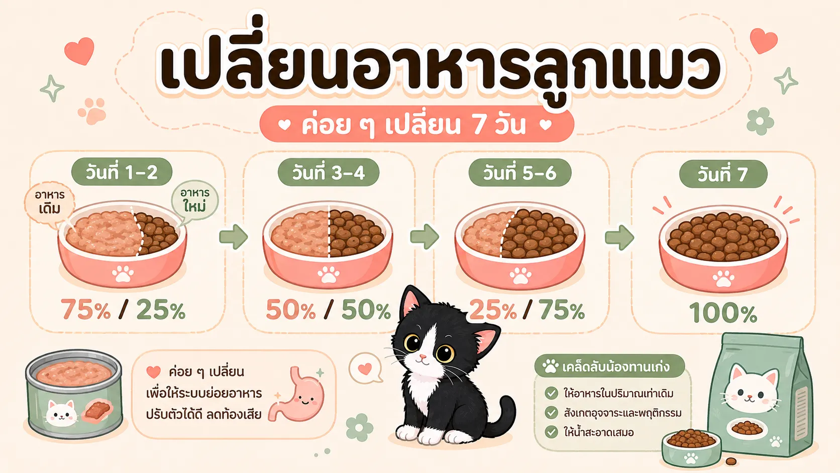 ภาพประกอบบทความ เปลี่ยนอาหารลูกแมวยังไง ไม่ให้ท้องเสีย
