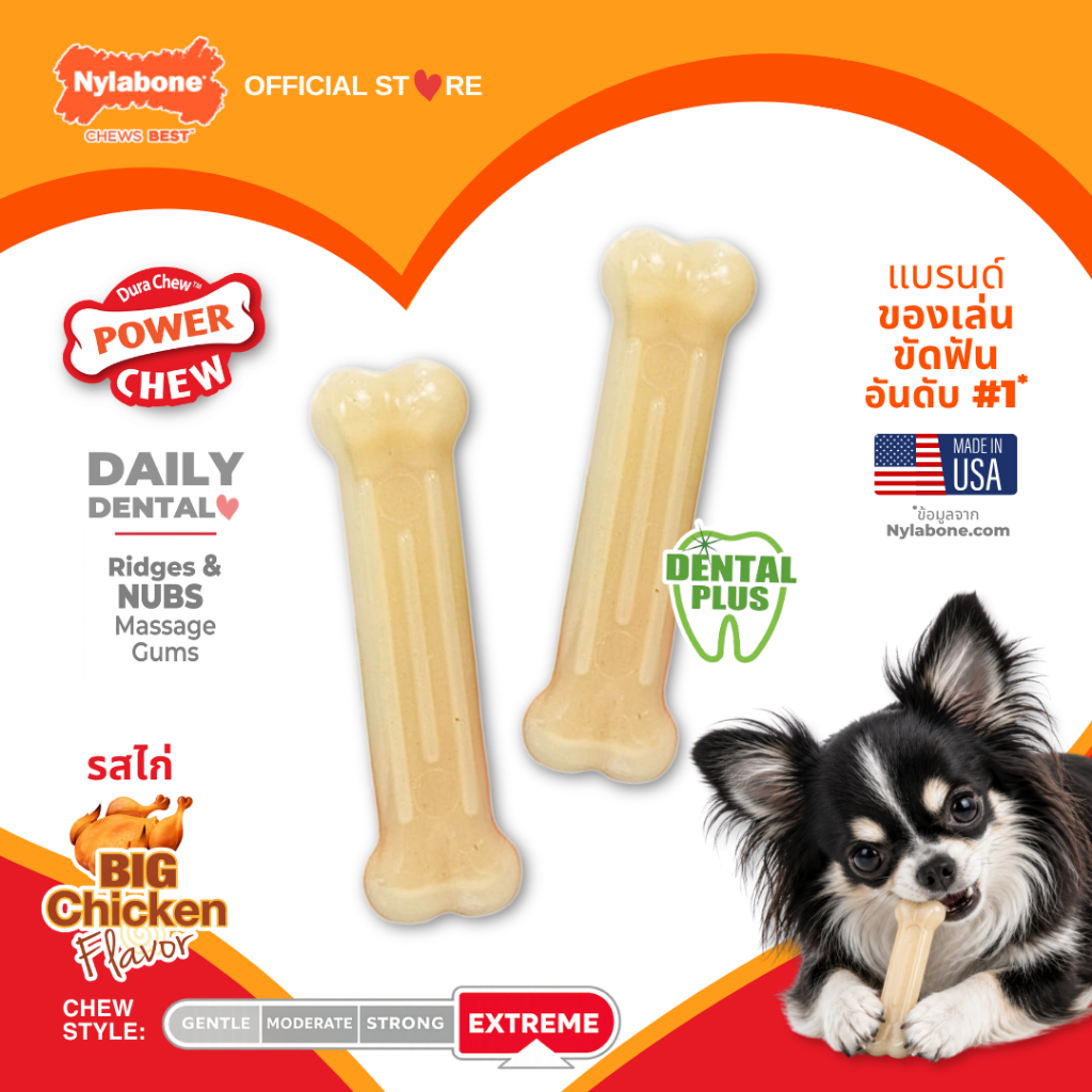 รูปสินค้า Nylabone Made in USA Daily Dental Chicken Flavor Power Chew Toy Twin Pack ของเล่นขัดฟันสุนัข