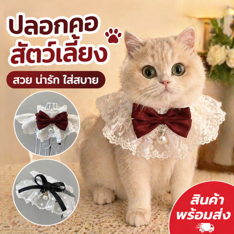 รูปสินค้า ผ้าพันคอแมว ผูกโบว์ ปลอกคอสัตว์เลี้ยง เอี๊ยม พิมพ์ลายลูกไม้ ตกแต่งสัตว์เลี้ยง ประดับโบว์