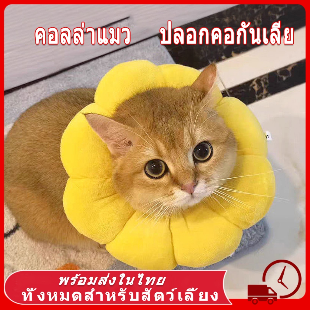 รูปสินค้า ปลอกคอกันเลียสำหรับสุนัขและแมว