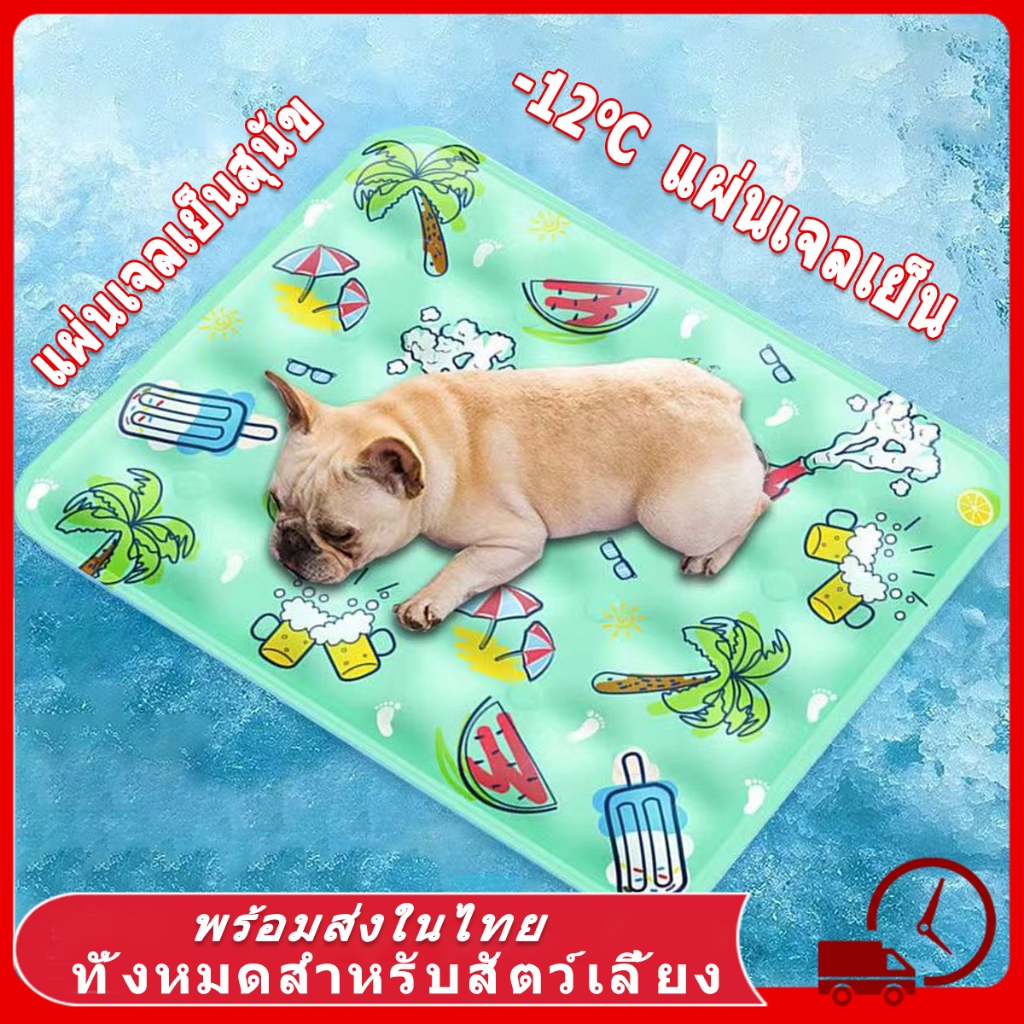 รูปสินค้า ที่นอนเจลเย็น แผ่นเจลเย็น แมว เบาะนอนเย็น ที่นอนแมว ที่นอนเย็น สัตว์เลี้ยง เบาะนอนสุนัข