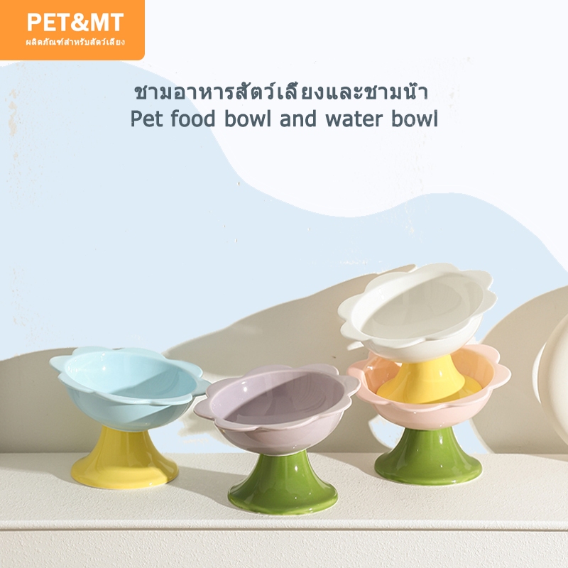 รูปสินค้า สินค้าสปอต ชามสัตว์เลี้ยง MaitaPET ชามอาหารแมวน่ารัก ชามอาหารสุนัข ชามอาหารแมว