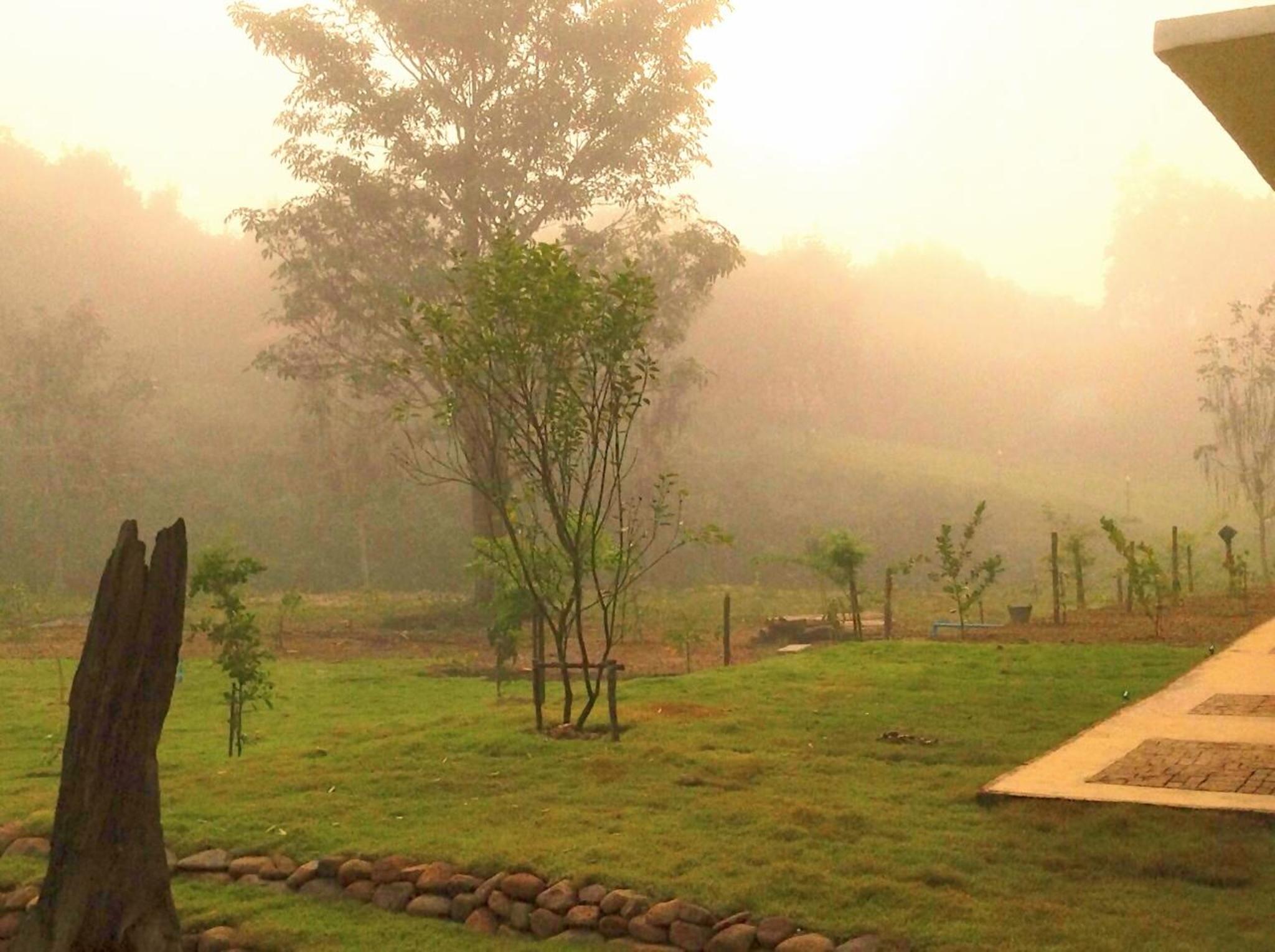 Dandelion Resort — ภาพที่ 3