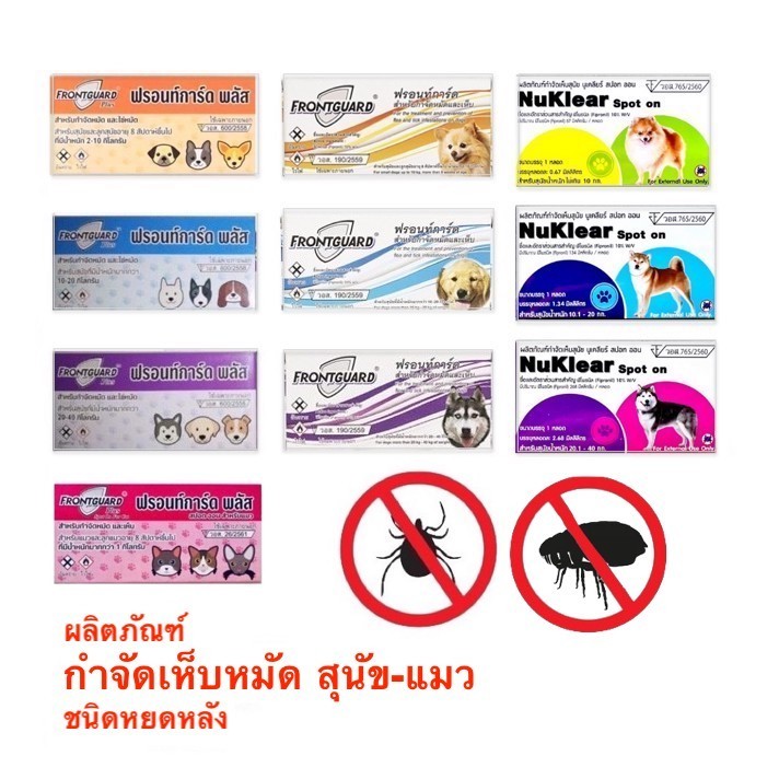 รูปสินค้า Frontguard Plus/ Frontgaurd/ Nuklear spot on 1 หลอด หยอดเห็บหมัด สำหรับสุนัขและแมว