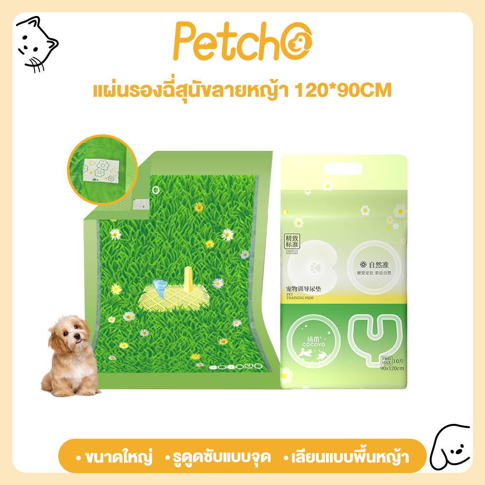 รูปสินค้า Petcho Cocoyo แผ่นรองฉี่สุนัข ขนาดใหญ่พิเศษ แผ่นรองฉี่หญ้า ที่หมาชอบ