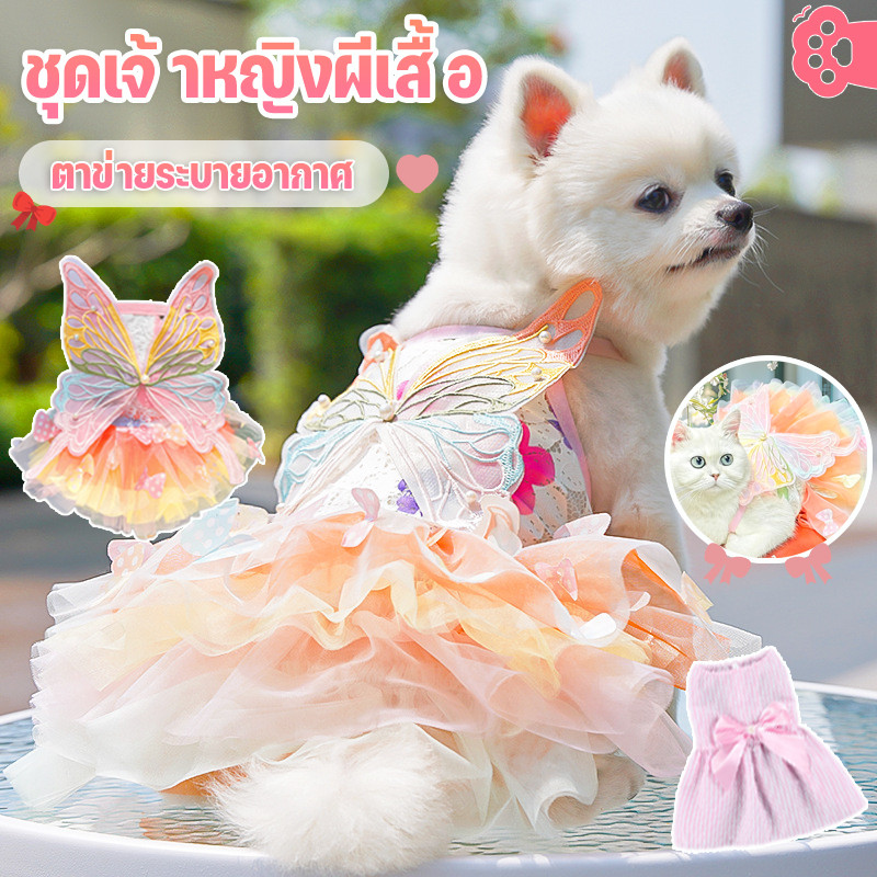 รูปสินค้า เสื้อสัตว์เลี้ยง ชุดแมว ชุดเดรสกระโปรง ชุดเจ้าหญิงแมว ragdoll ใส่สบาย ระบายอากาศดีน่ารัก