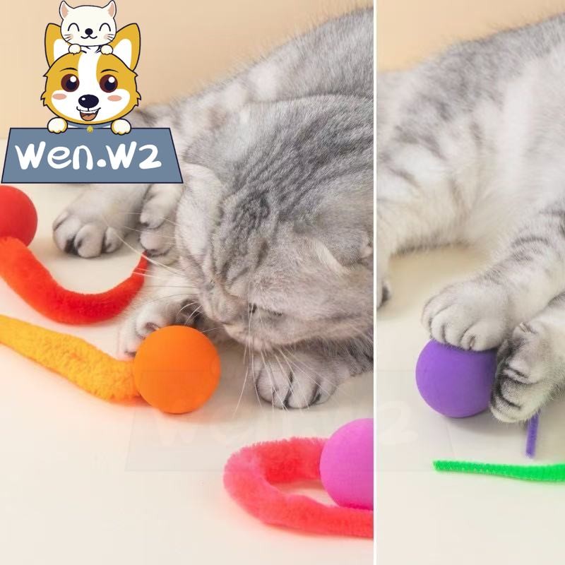รูปสินค้า wen.W2 ของเล่นลูกบอลยาง สำหรับแมว ของเล่นสัตว์เลี้ยง ฝึกแมว