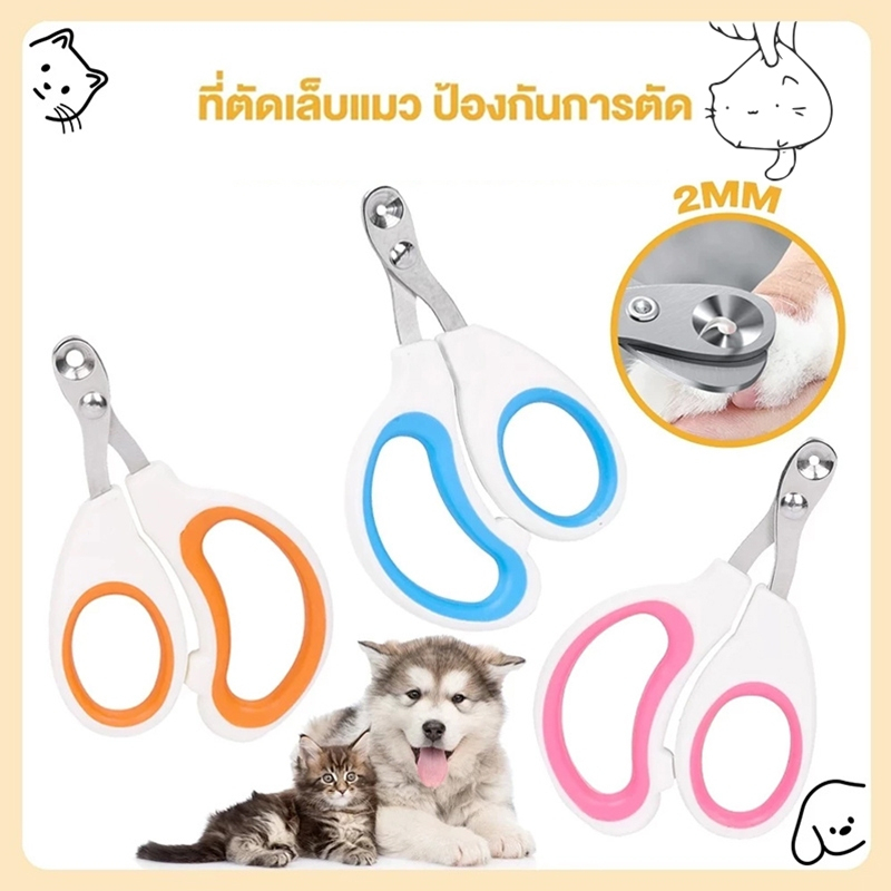 รูปสินค้า กรรไกรตัดเล็บแมว กรรไกรตัดเล็บสุนัขสแตนเลส กรรไกรตัดเล็บสัตว์
