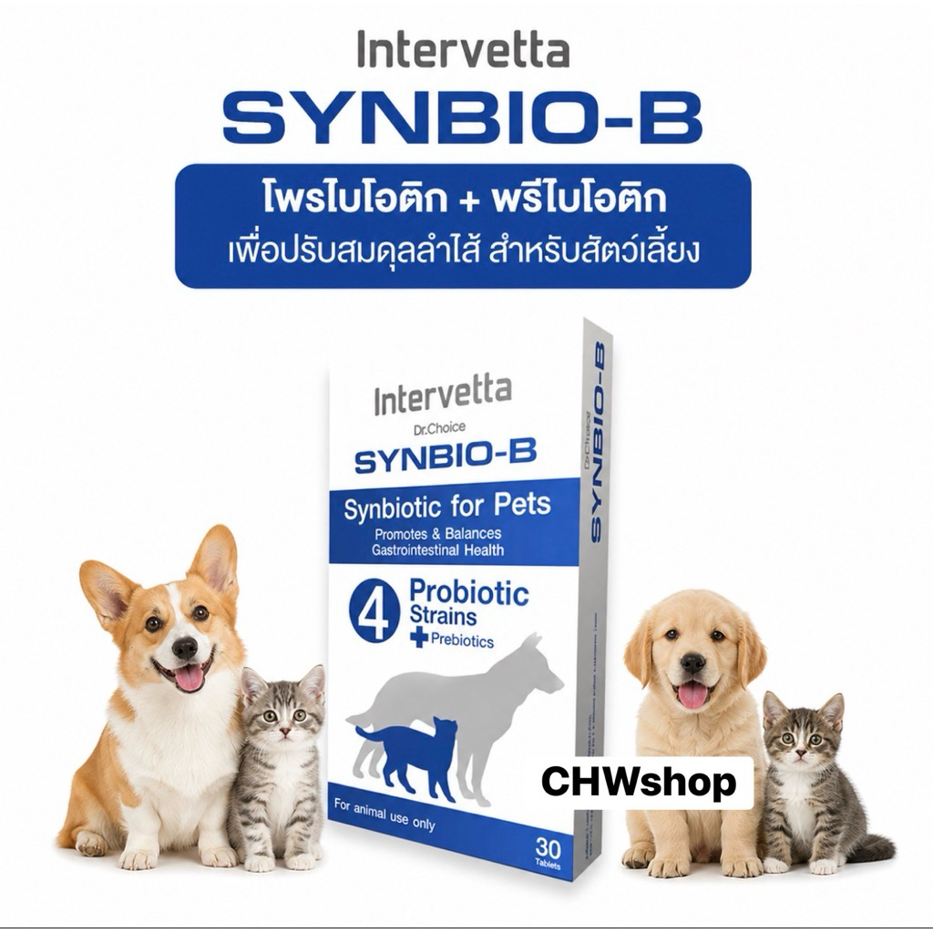 รูปสินค้า Intervetta อินเตอร์เวตต้า Synbio B โพรไบโอติก+พรีไบโอติก สุนัข-แมว ปรับสมดุลลำไส้