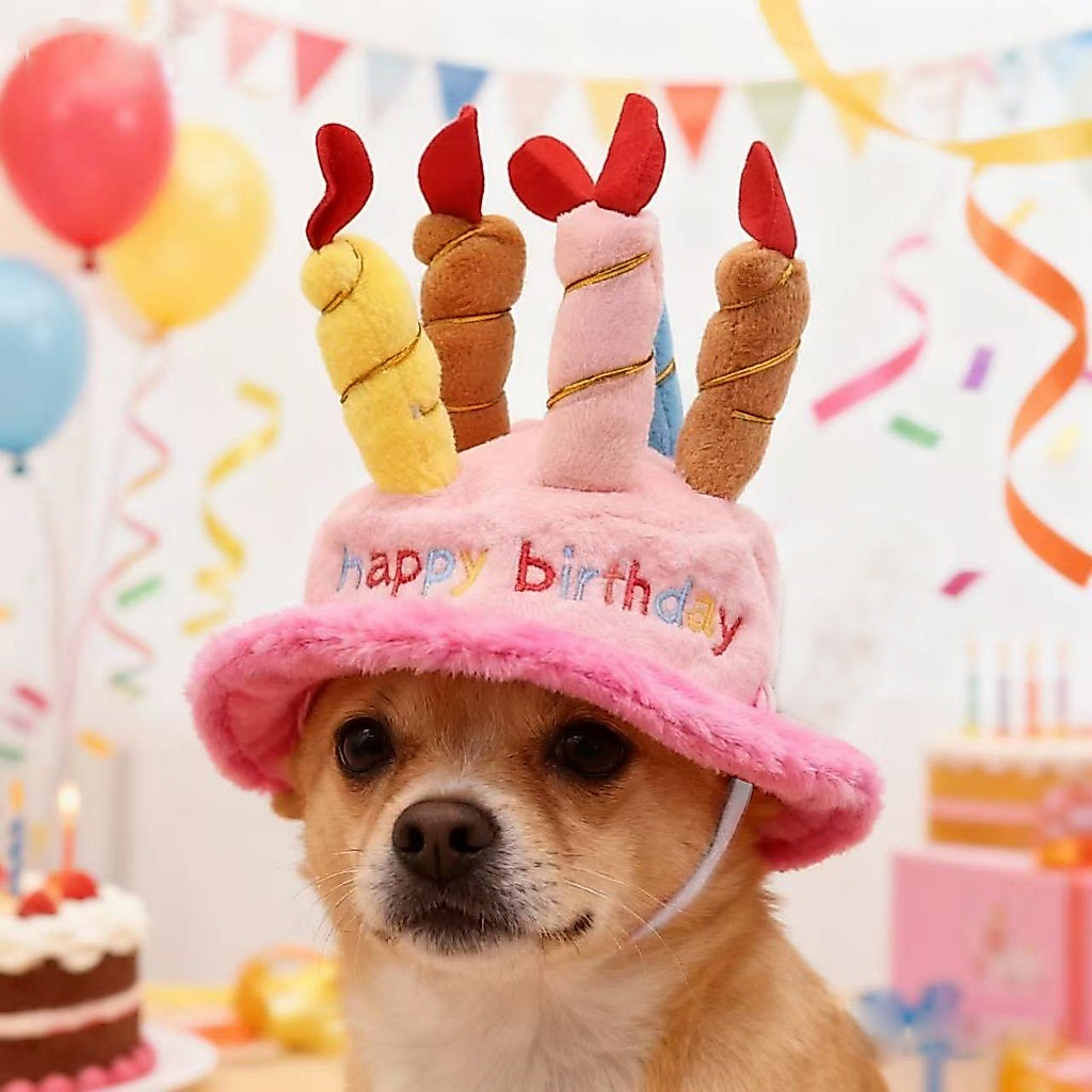 รูปสินค้า หมวกวันเกิด Happy birth day หมวกสัตว์เลี้ยง หมา แมว กระต่าย น่ารัก สีสันสวยงาม