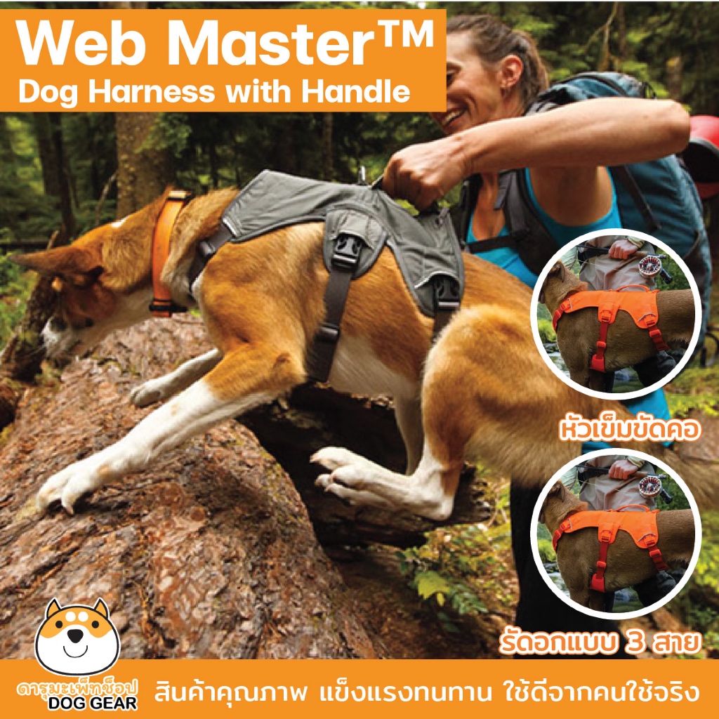 รูปสินค้า Ruffwear Web Master Dog Harness with Handle Neck Buckle And รัดอกพร้อมมือจับ