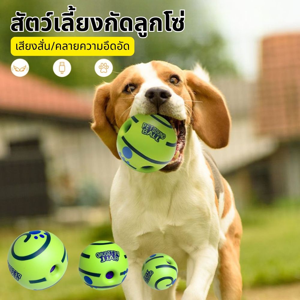 รูปสินค้า ของเล่นสัตว์เลี้ยง ของเล่นสุนัขขัดฟัน ลูกบอลสุนัขมีเสียง Giggle Glow Ball ลูกบอล สุนัข