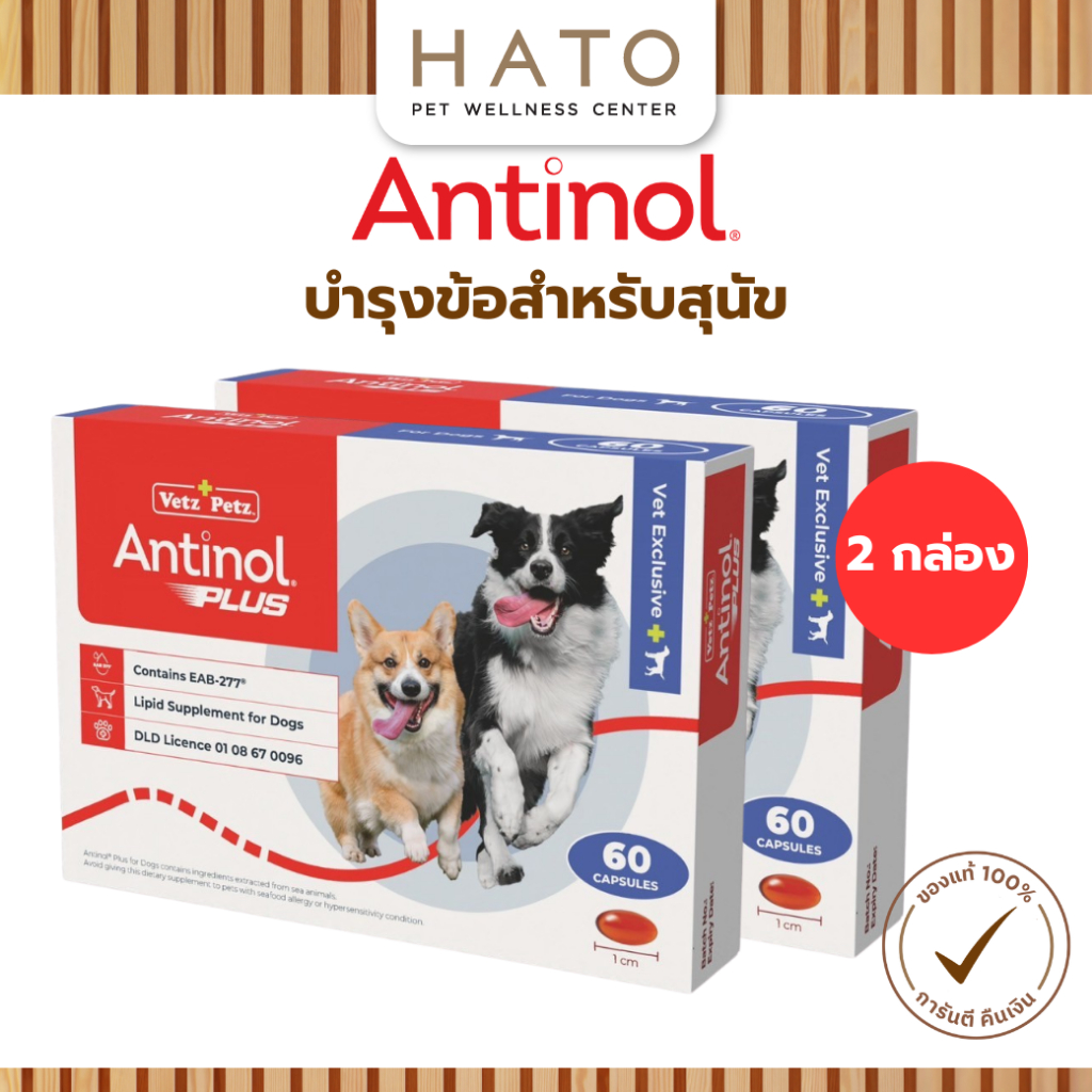 รูปสินค้า Antinol Dog แอนทินอล อาหารเสริมไขมัน สูตรดูแลข้อและกระดูก สำหรับสุนัข 120 เม็ด Vetz Petz 2 กล่อง