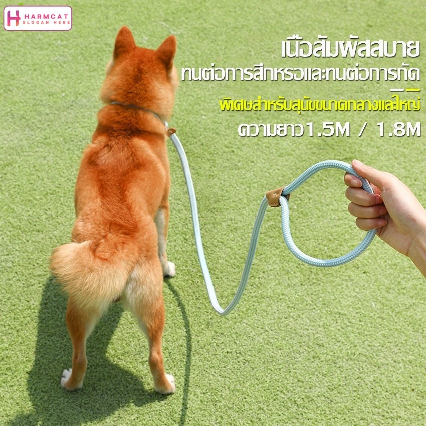 รูปสินค้า Harmcat สายจูงสุนัข สายจูงหมา คล้องคอ สําหรับฝึกสุนัขในร่ม และกลางแจ้ง พกพาง่าย