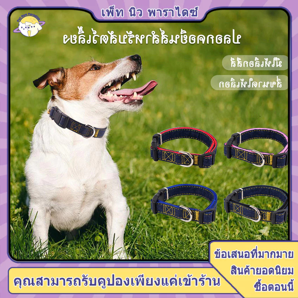 รูปสินค้า ปลอกคอสุนัข XL โต