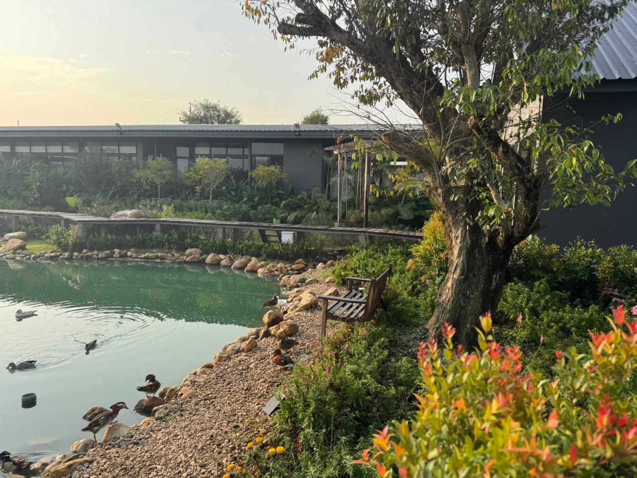 Baanmax Boutique Pet Resort & Lodge, Chiangrai