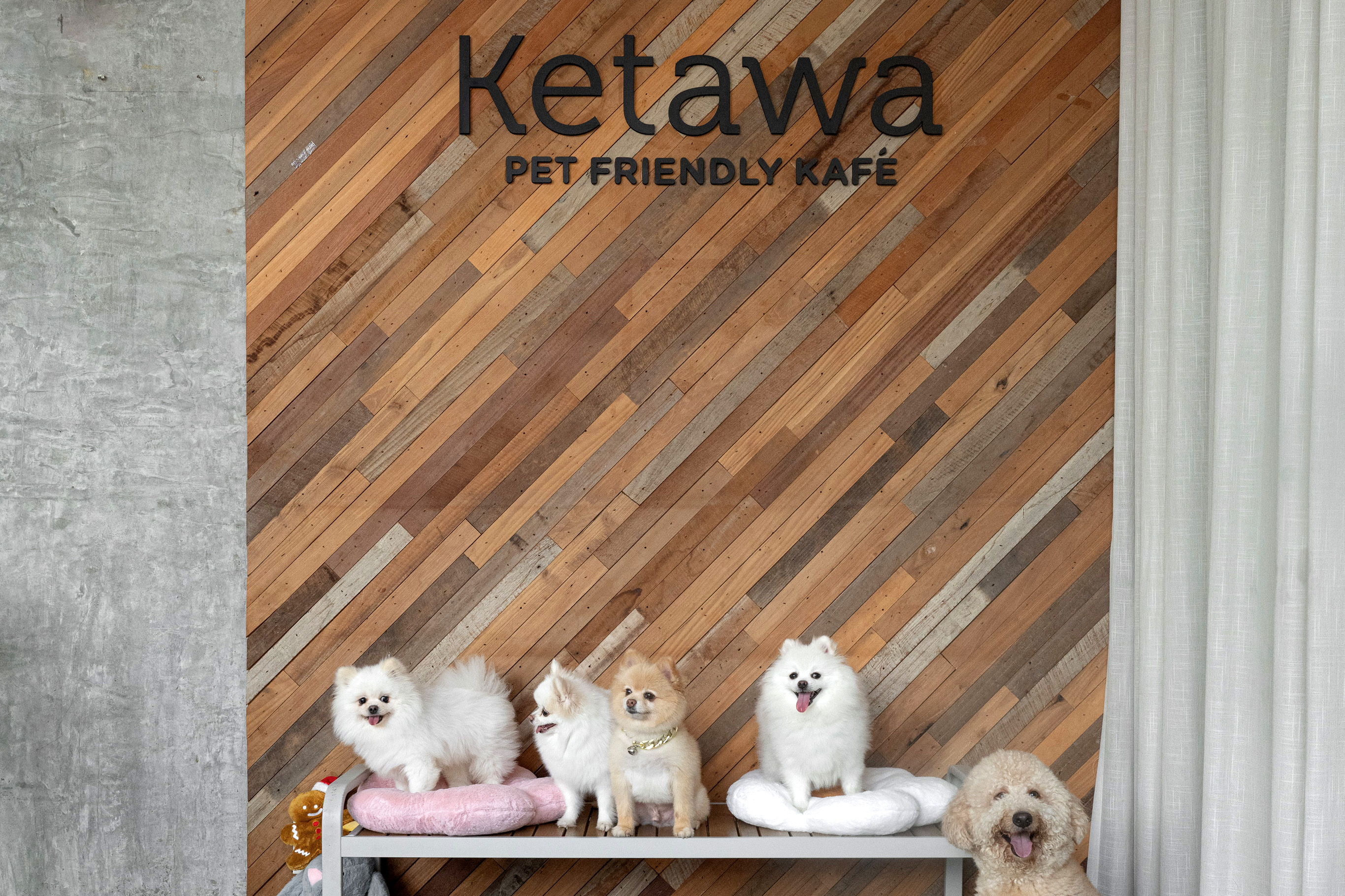 Ketawa Pet Friendly Hotel and Cafe