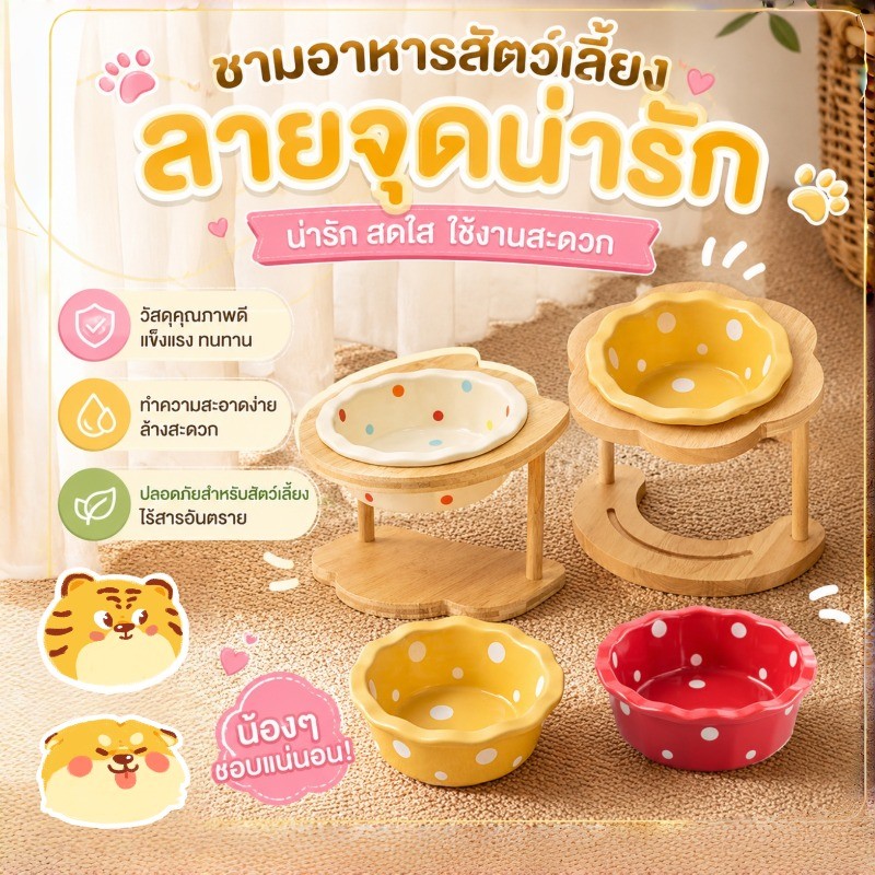 รูปสินค้า Aimayapet ชามแมว ชามและฐานขาตั้งไม้ ชามเซรามิก สุนัข แมว ชามอาหารสัตว์เลี้ยง ลายน่ารัก