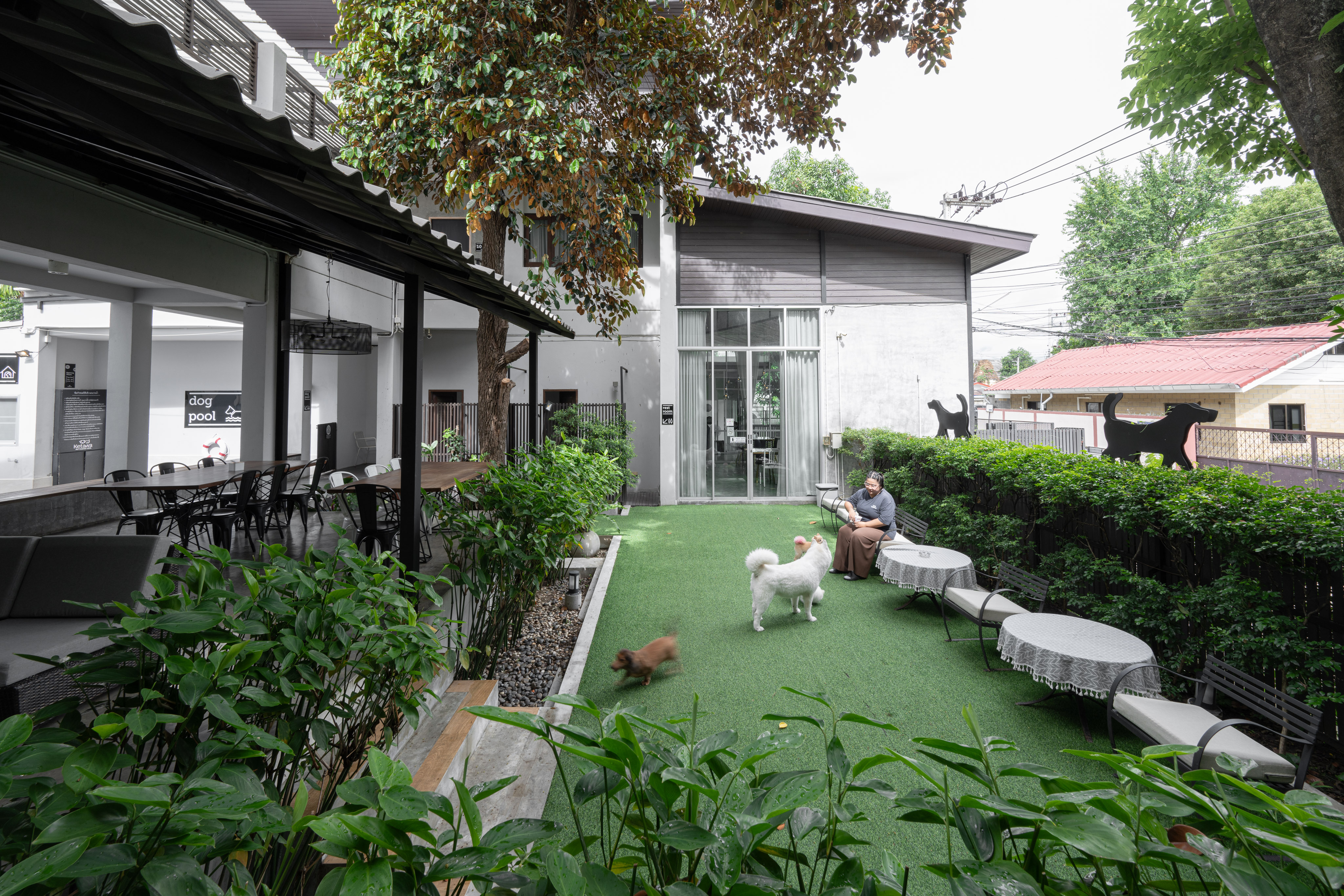 Ketawa — รูป 02