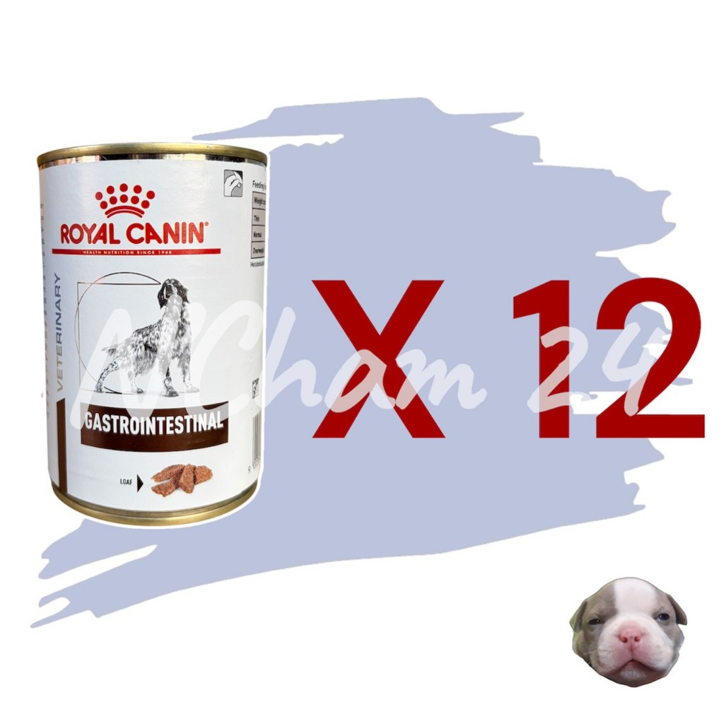 รูปสินค้า Royal Canin Gastrointestinal อาหารเปียกสุนัข 400 กรัม จำนวน 12 กระป๋อง