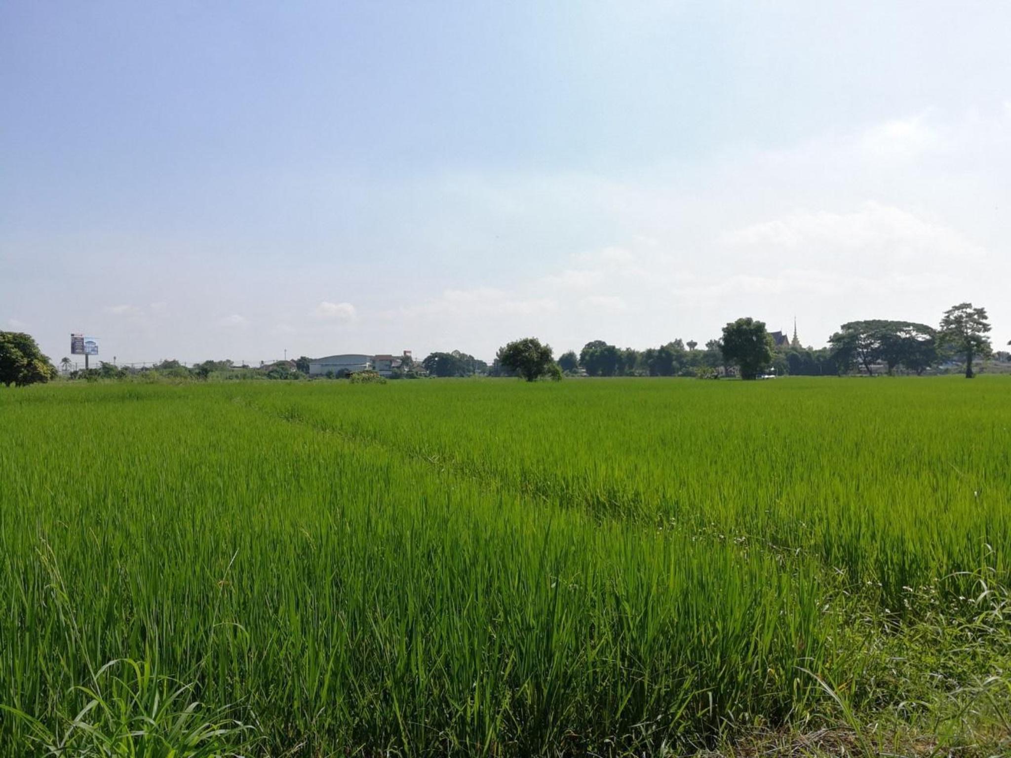 Bee Rest Residence, Bandu, Chiang Rai (House 1) — ภาพที่ 3