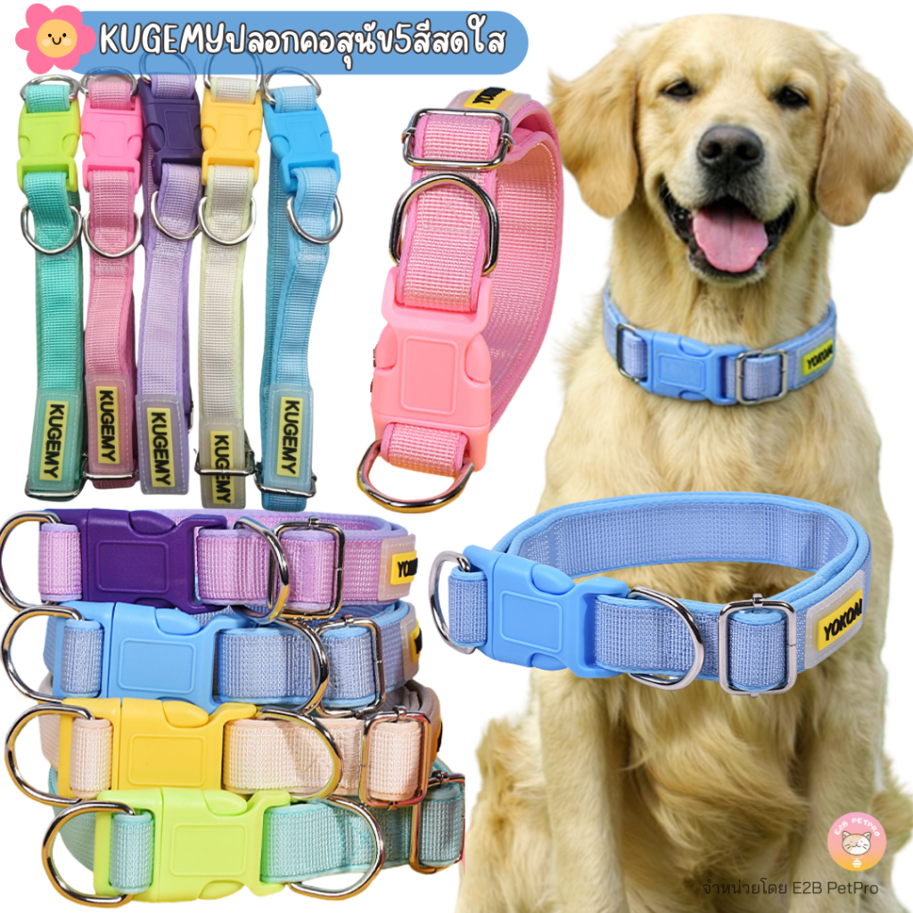 รูปสินค้า KUGEMY ปลอกคอสุนัข5สีสดใส ผ้านุ่ม สายทอคุณภาพสูง แข็งแรงทนทาน C080