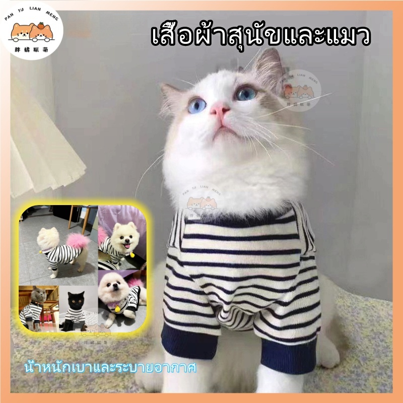 รูปสินค้า รุ่นลิมิเต็ด ชุดแมว ชุดหมา ระบายอากาศได้ เสื้อ แมว น่ารัก ชุดสุนัข เสื้อหมาแมว