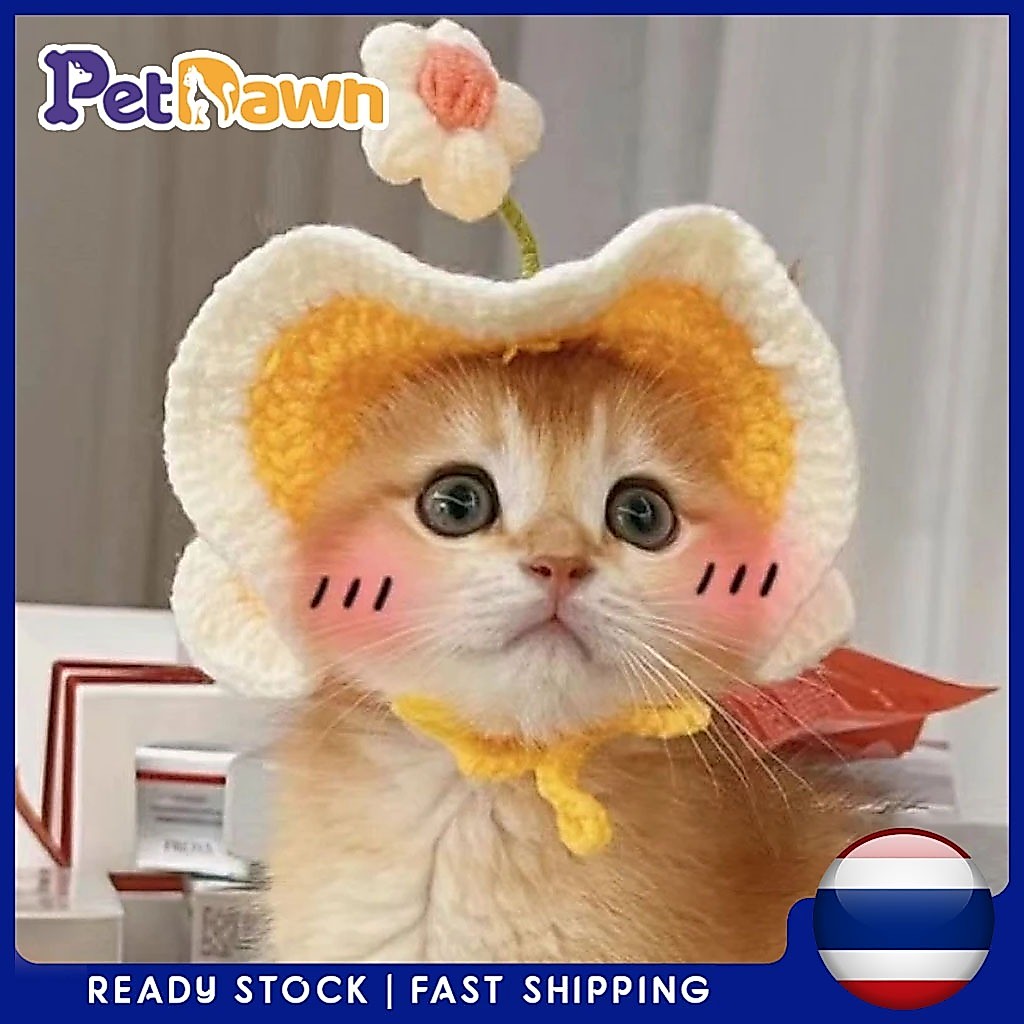 รูปสินค้า หมวกถักแมว หมวกแมว หมวกไหมพรม หมวกสัตว์เลี้ยงน่ารักที่มีการออกแบบดอก