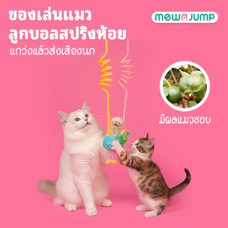 รูปสินค้า MewaJump ของเล่นแมวแขวนยางยืด พร้อมเสียงนก แคทนิป ขนนก และเชือก ของเล่นโต้ตอบ แข็งแรง ทนทาน สนุก เคี้ยวได้ ใช้ล่อและกระตุ้นแมวเลี้ยงในบ้าน