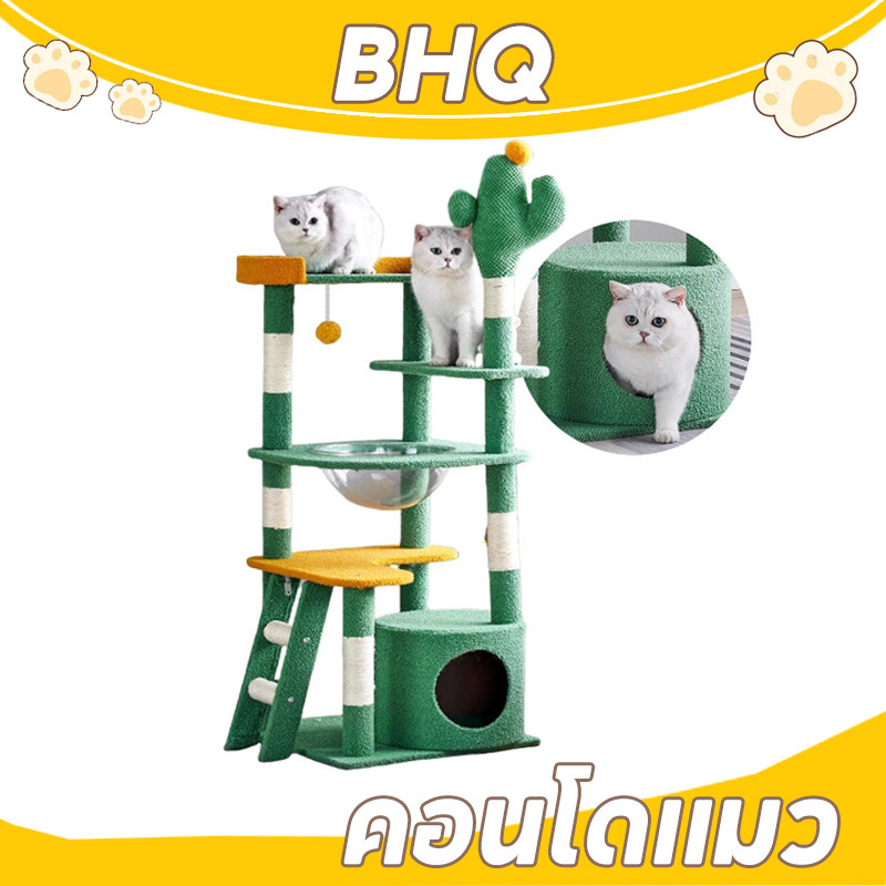 รูปสินค้า BHQ 5in1 ที่ลับเล็บแมว เตียงแมว ของเล่นแมว คอนโดแมวคอนโดแมว ที่นอน เสาลับเล็บได้ สูง 55 155 ซม.